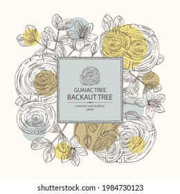 Background with guaiac tree: wood, flower, leaves and  piece of guaiac tree. Backaut tree. Perfumery, cosmetics and medical plant. Vector hand drawn illustration