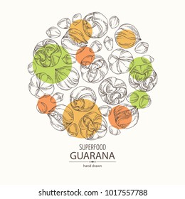 Background with guarana. Super food. Vector hand drawn illustration.