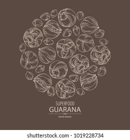 Background with guarana. Super food. Vector hand drawn illustration.