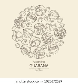 Background with guarana. Super food. Vector hand drawn illustration.