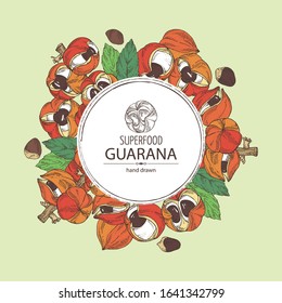 Background with guarana. Super food. Vector hand drawn illustration.