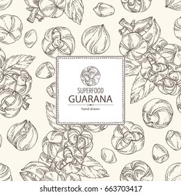 Background with guarana. Super food. Vector hand drawn illustration