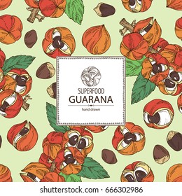 Background with guarana. Super food. Vector hand drawn illustration.