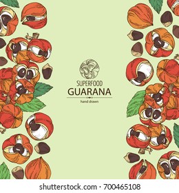 Background with guarana. Super food. Vector hand drawn illustration.