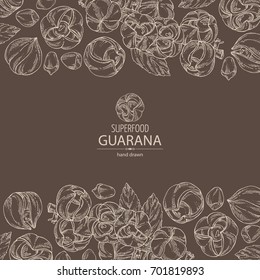 Background with guarana. Super food. Vector hand drawn illustration.