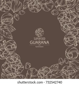 Background with guarana. Super food. Vector hand drawn illustration