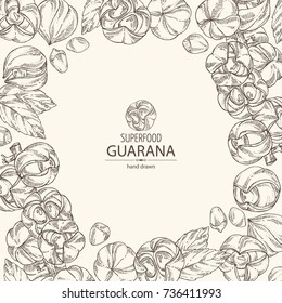 Background with guarana. Super food. Vector hand drawn illustration