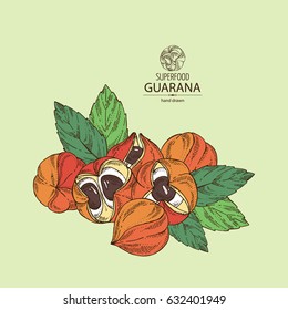 Background with guarana. Superfood. Hand drawn.