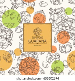 Background with guarana. Superfood. Vector hand drawn illustration.