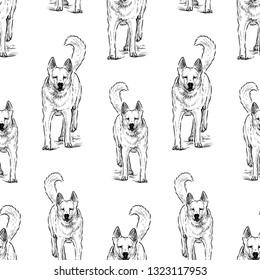 Background of guard dogs running towards