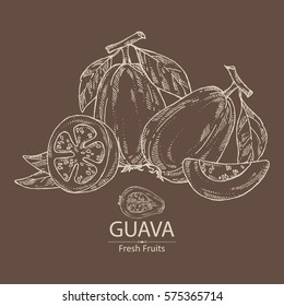 Background with guava and guava slice. hand drawn