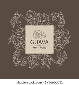 Background with guava and guava slice. Vector hand drawn illustration.