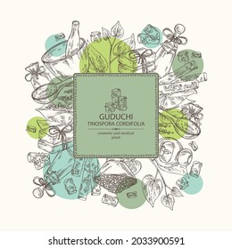 Background with guduchi : giloy plant and guduchi leaves. Tinospora cordifolia. Oil, soap and bath salt . Cosmetics and medical plant. Vector hand drawn illustration