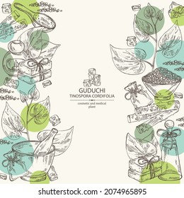 Background with guduchi : giloy plant and guduchi leaves. Tinospora cordifolia. Oil, soap and bath salt . Cosmetics and medical plant. Vector hand drawn illustration