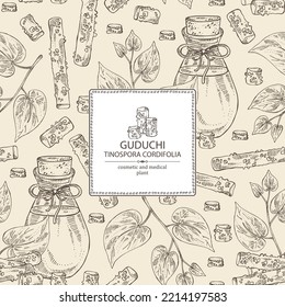 Background with guduchi: giloy plant, guduchi leaves and bottle of guduchi essential oil. Tinospora cordifolia.  Cosmetic, perfumery and medical plant. Vector hand drawn illu