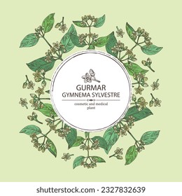 Background with gymnema sylvestre: gymnema sylvestre plant, gurmar leaves and gymnema sylvestre flowers. Gurmar, sugar destroyer. Cosmetic, perfumery and medical plant. Vector hand drawn