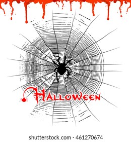 Background with Halloween cobwebs. Vector