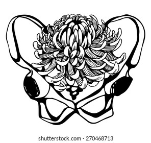Background with hand draw human pelvis. Illustration