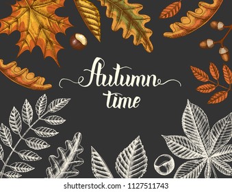 Background with hand drawn autumn doodle and colored yellowed leaves sketch style and hand made lettering. Engraving illustration. Can be used for brochure, poster, web, advertising

