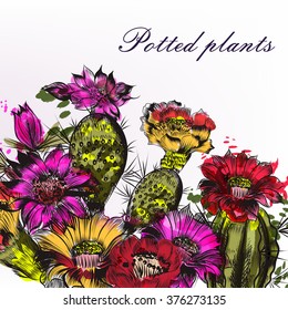 Background with  hand drawn blooming cactus in engraved and watercolor styles potted plants