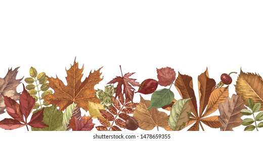 Background with hand drawn colorful autumn leaves . Vector illustration in retro style