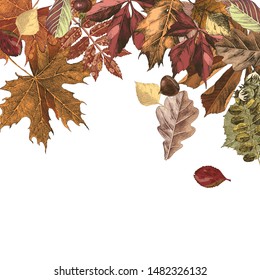 Background with hand drawn colorful autumn leaves . Vector illustration in retro style