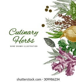 Background with hand drawn culinary herbs and spices