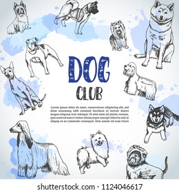 Background with Hand drawn dogs breeds. Sketch of dog. Poster with I love Dog text French bulldog, dachshund, Husky, Yorkshire Terrier