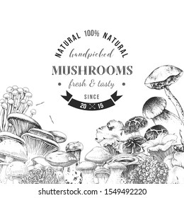 Background with hand drawn edible mushrooms and place for text. Vector illustration