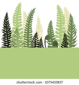 Background with hand drawn fern.   Vector sketch illustration