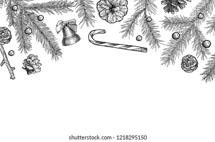 Background with hand drawn fir tree branch and cones. Place for text, congratulation. Christmas, New Year symbol.