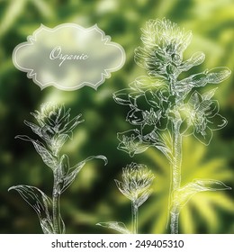 Background with hand drawn flowers