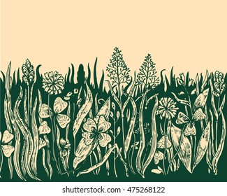 Background with hand drawn meadow herbs. Vector illustration. 