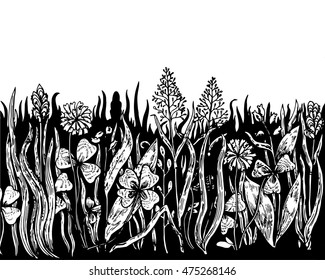 Background with hand drawn meadow herbs. Vector illustration. 