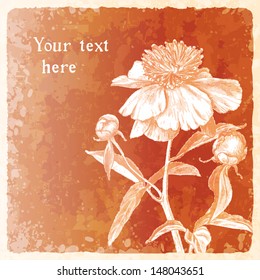 background with hand drawn peony flower, vector illustration, eps10