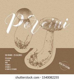 Background with hand drawn porcini mushrooms. Vector illustration