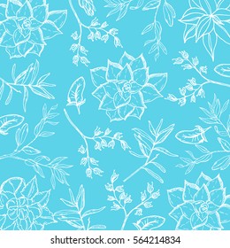 Background with hand drawn rosemary plant, succulent plants and dry herbs. Green leaves with herbs for cooking and health care. Vector stock Illustration. Template for postcard. Pattern with herbs