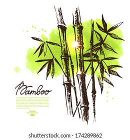 Background With Hand Drawn Sketch Bamboo And Watercolor Blot. Vector Illustration