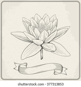 Background with hand drawn sketch beautiful water Lily flower. Vector illustration