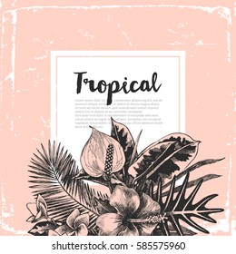 Background with hand drawn tropical plants and place for your text