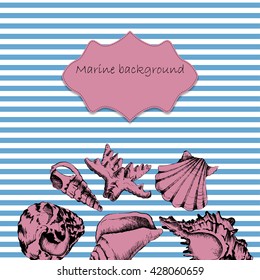 Background with hand-drawing sketch of shells and frame for design