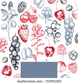 Background with hand-drawn  berries. Vector  illustration.