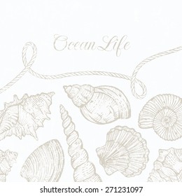 Background with hand-drawn sea shells and rope. EPS 10 vector illustration. All shells are available under the clipping mask.