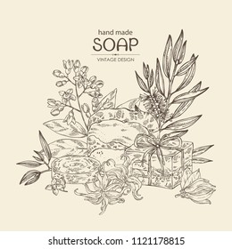 Background with handmade soap, tea tree, sandalwood and ylang ylang. Organic cosmetic natural soap. Vector hand drawn illustration.