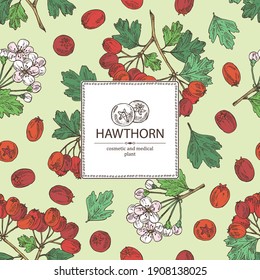 Background with hawthorn: hawthorn branch with flowers, leaves and berries. Crataegus berries. Cosmetics and medical plant. Vector hand drawn illustration. 