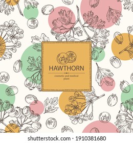 Background with hawthorn: hawthorn branch with flowers, leaves and berries. Crataegus berries. Cosmetics and medical plant. Vector hand drawn illustration. 