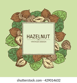 Background with hazelnut. Hand drawn