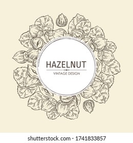 Background with hazelnut. Vector hand drawn illustration.