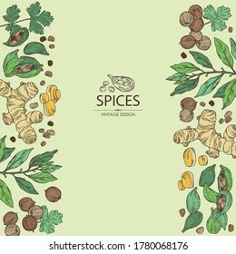 Background with hearbs and spices: turmeric root, bay leaf, cardamom seeds and coriander sseds. Vector hand drawn illustration.