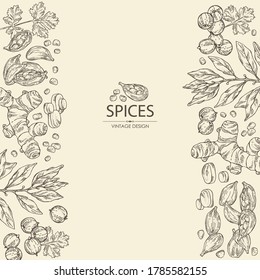 Background with hearbs and spices: turmeric root, bay leaf, cardamom seeds and coriander sseds. Vector hand drawn illustration.